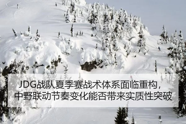 JDG战队夏季赛战术体系面临重构，中野联动节奏变化能否带来实质性突破